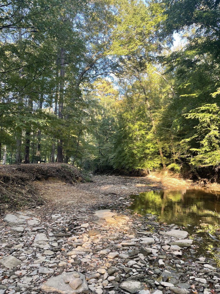 3 of the Best Outdoor Activities in Birmingham, AL During Fall